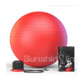 Boule de Fitness Ball Premium de stabilité pour le ballon d’exercice Yoga & Pilates Ball